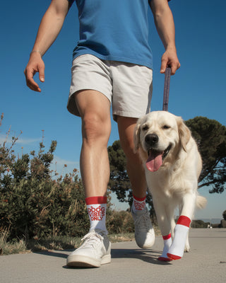 CALCETINES PARA PERRO GRANDE | SOKKOS